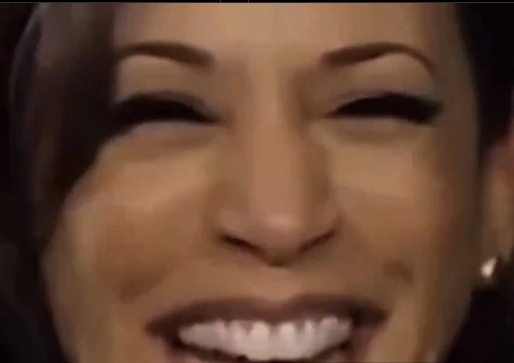 カマラハリスと蓮舫の相違点